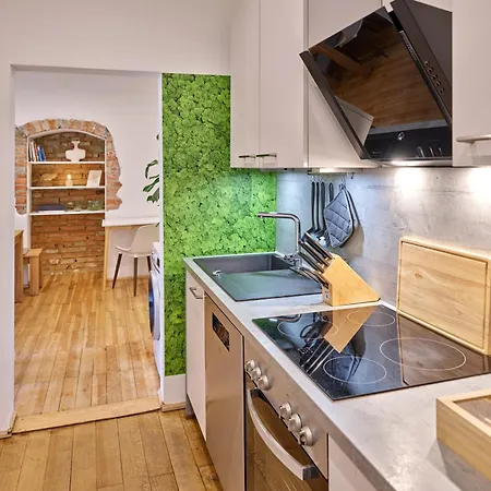 Apartman Residery Zentrale Altbauwohnung Mit Arbeitsplatz In Der Innstadt *