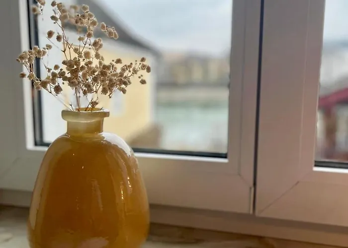 Residery Zentrale Altbauwohnung Mit Arbeitsplatz In Der Innstadt * Passau